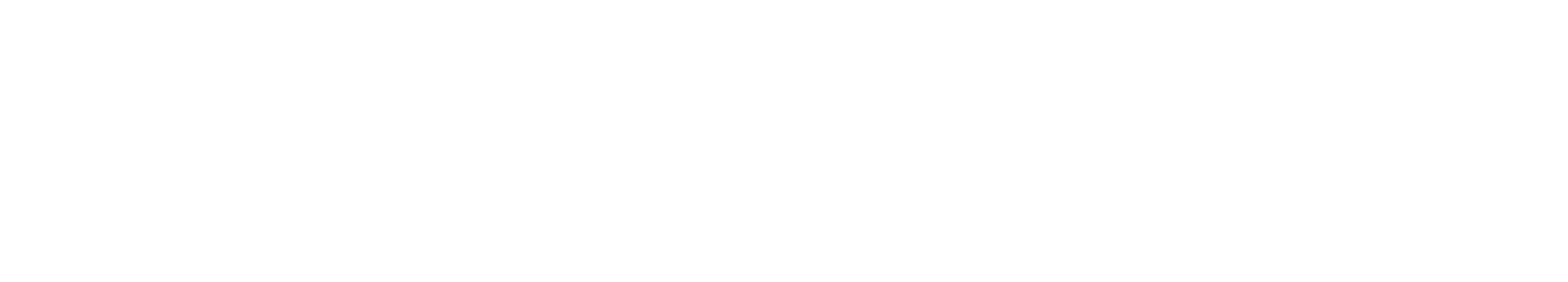 RoadMetric Data Services